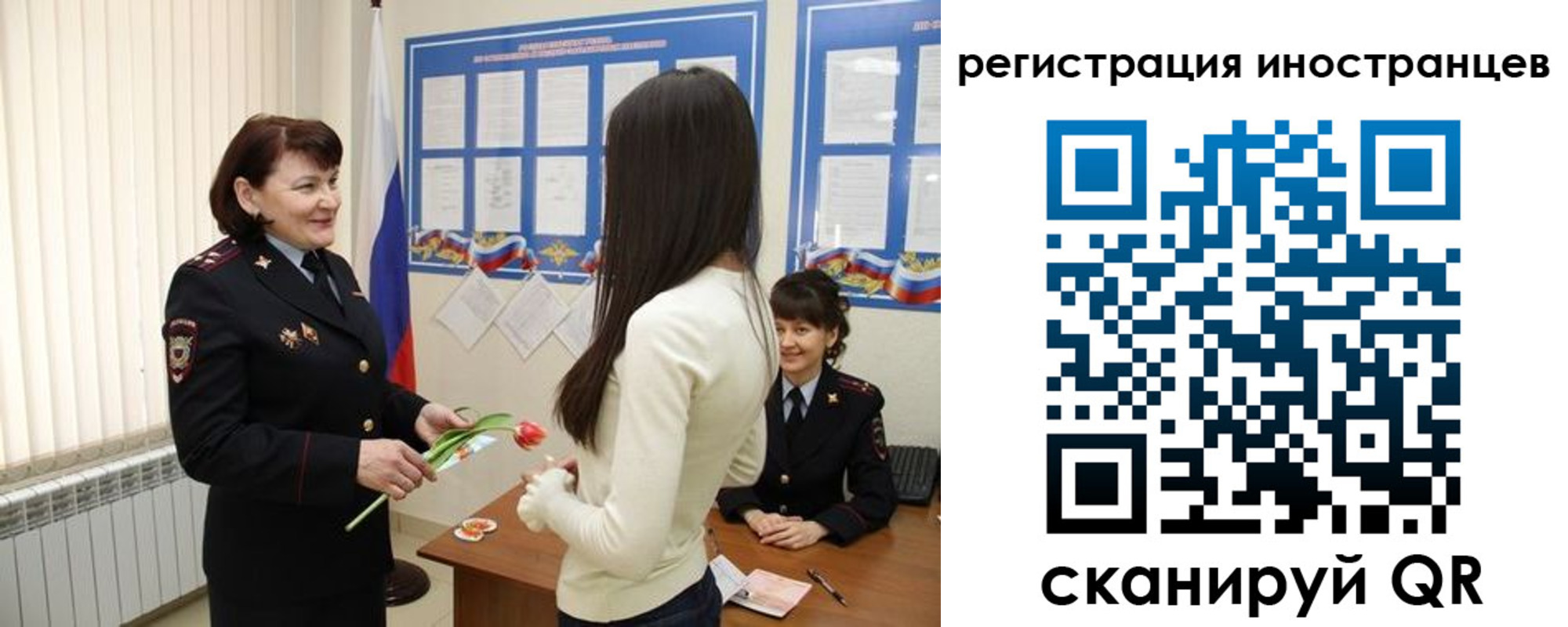 прописка в квартире в Домодедово